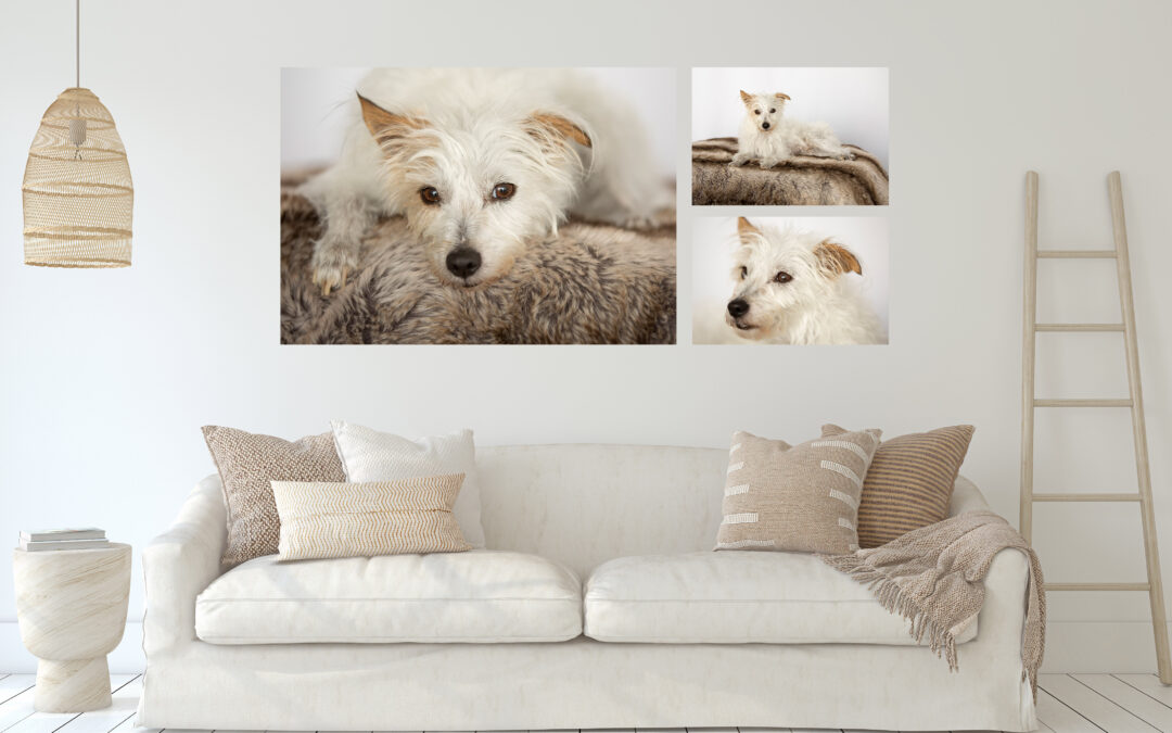 Metal Print Living-room Casper